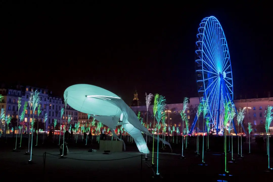 prairie éphémère Bellecour square Lyon light festival