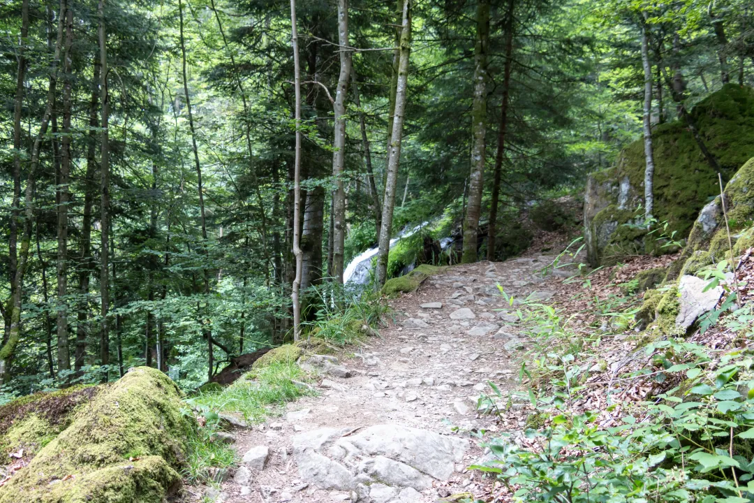 path to the hohwald waterfall kreuzweg