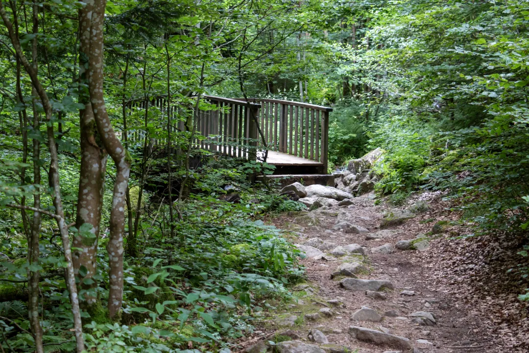 bridge over the Andlau river path hohwald waterfall