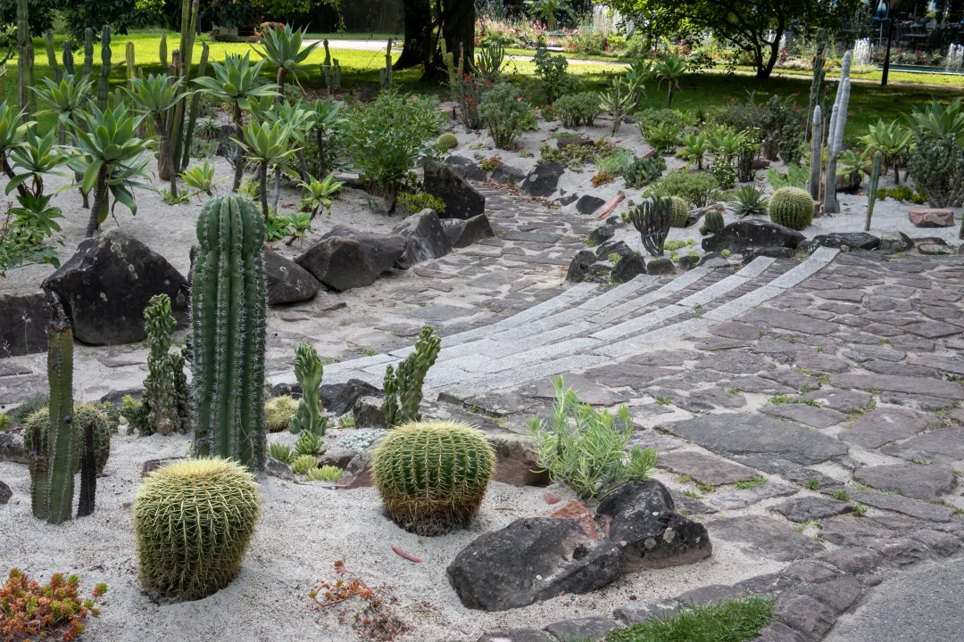 square cactus stadtpark lahr