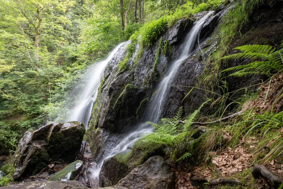 side of the hohwald waterfall kreuzweg