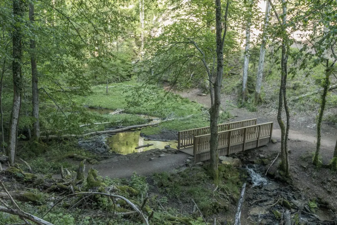 Nideck waterfall river bridge