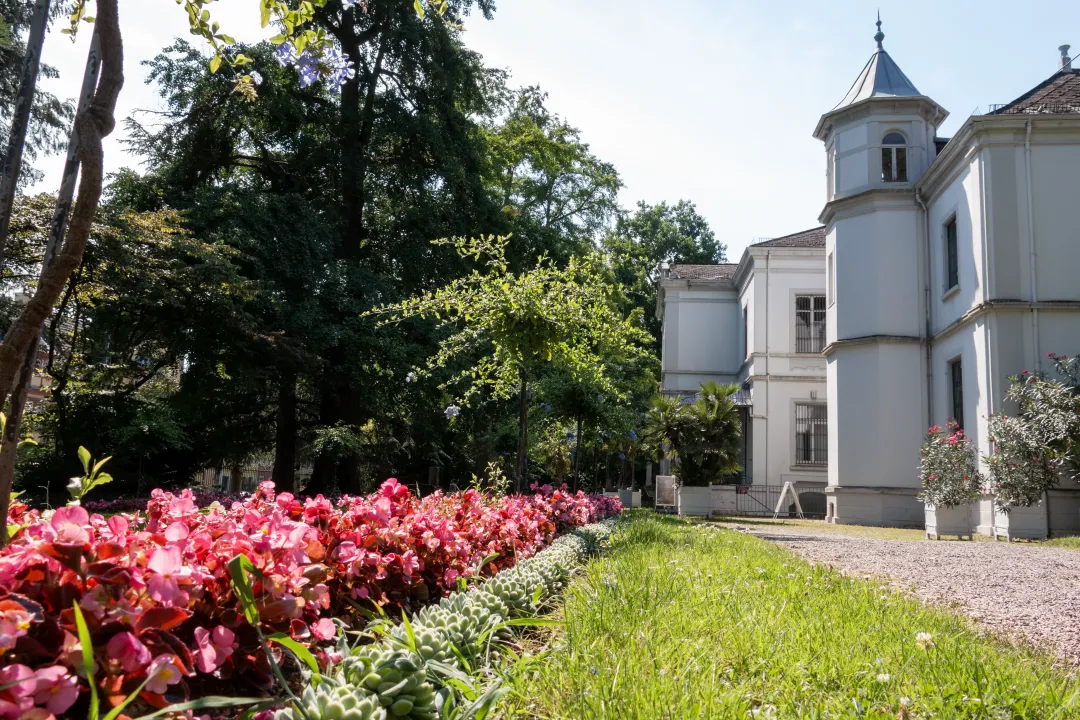 Villa Jamm Stadt park lahr