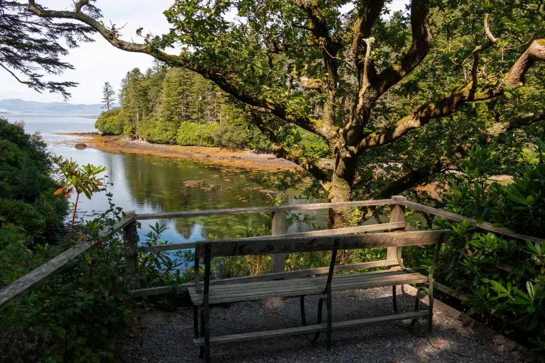 Derreen Garden bench view of the bay